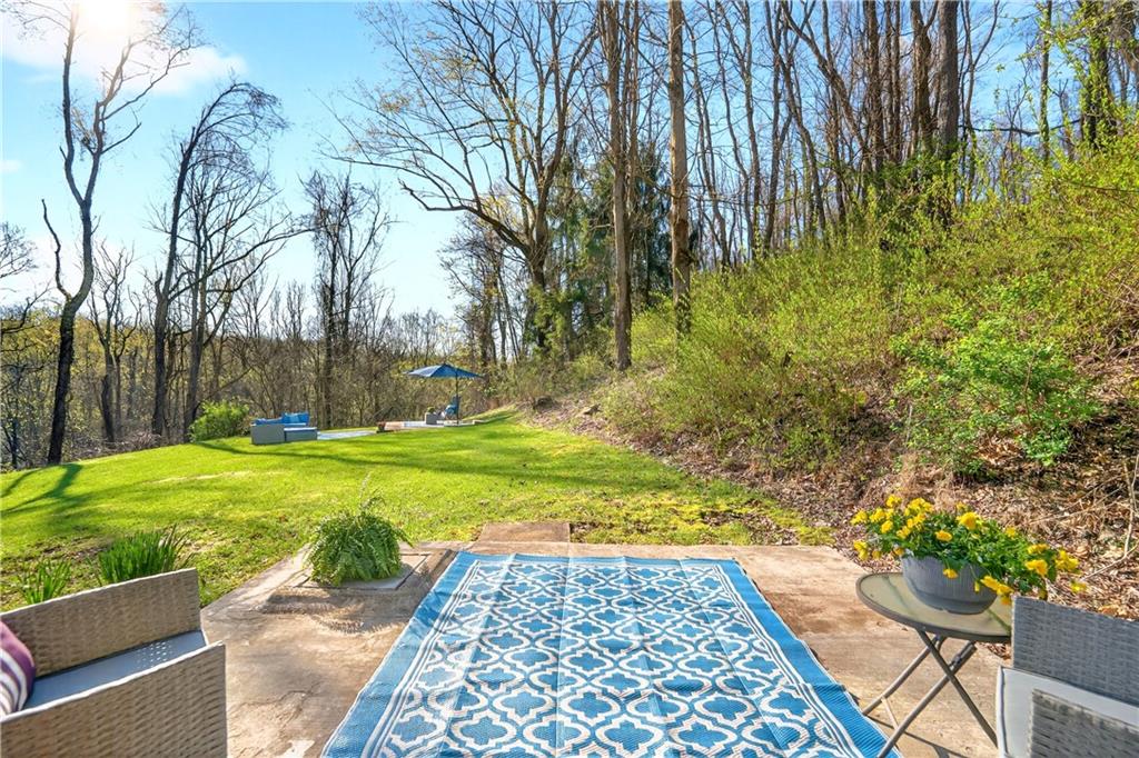 224 Salem Church Road Rostraver Township, PA 15012 - Photo 6 of 48 a view of a yard with plants