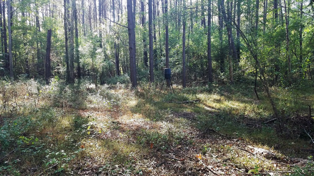 187 Nebo Road Crosby, MS 39633 - Photo 31 of 43 Photo 31