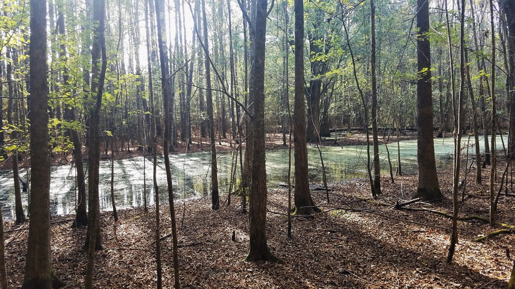 187 Nebo Road Crosby, MS 39633 - Photo 35 of 43 Photo 35