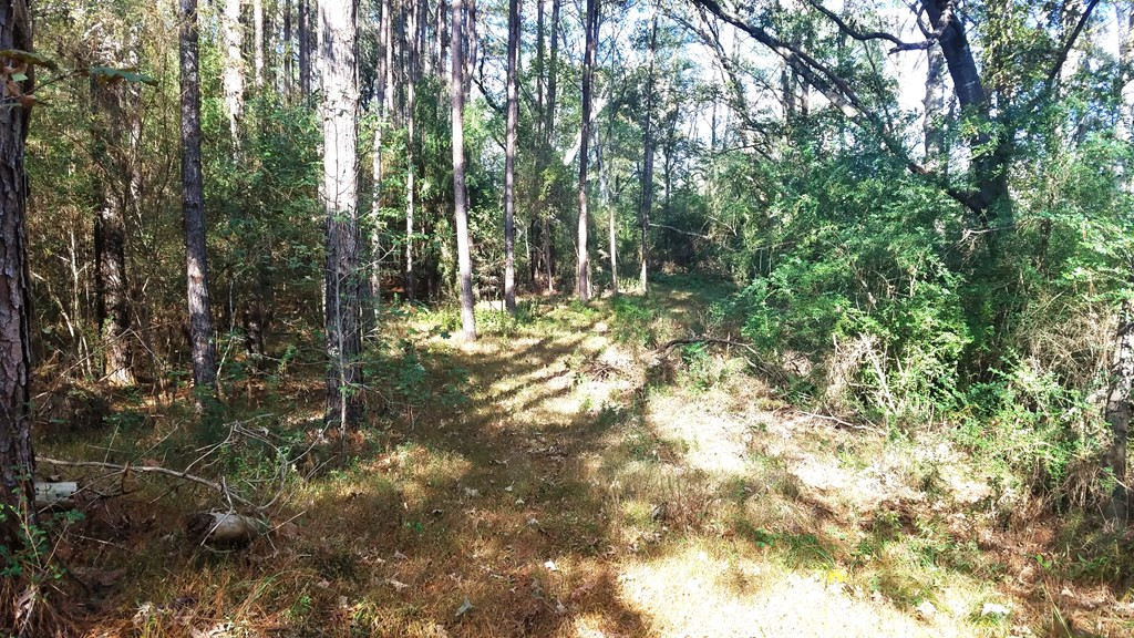187 Nebo Road Crosby, MS 39633 - Photo 41 of 43 Photo 41