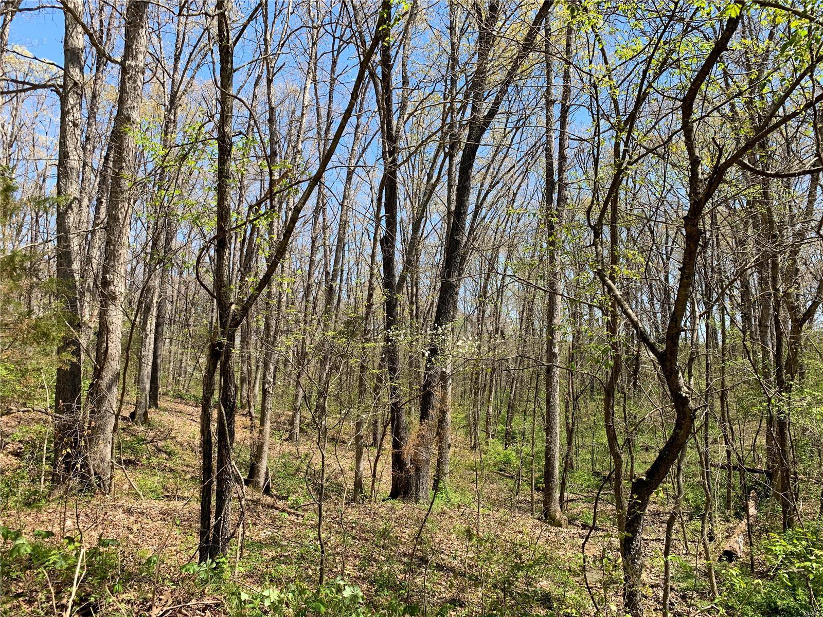 0 Klausmeier Road Wright City, MO 63390 - Photo 2 of 10