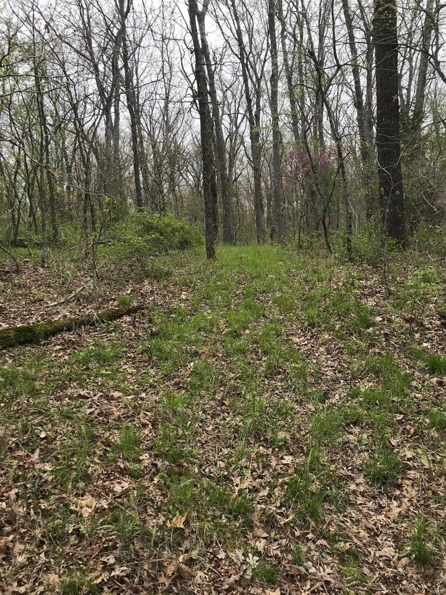 0 Klausmeier Road Wright City, MO 63390 - Photo 4 of 10