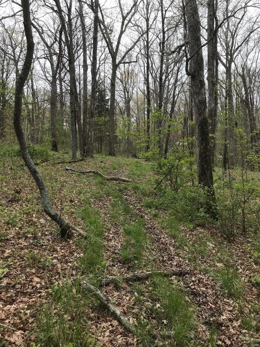 0 Klausmeier Road Wright City, MO 63390 - Photo 6 of 10