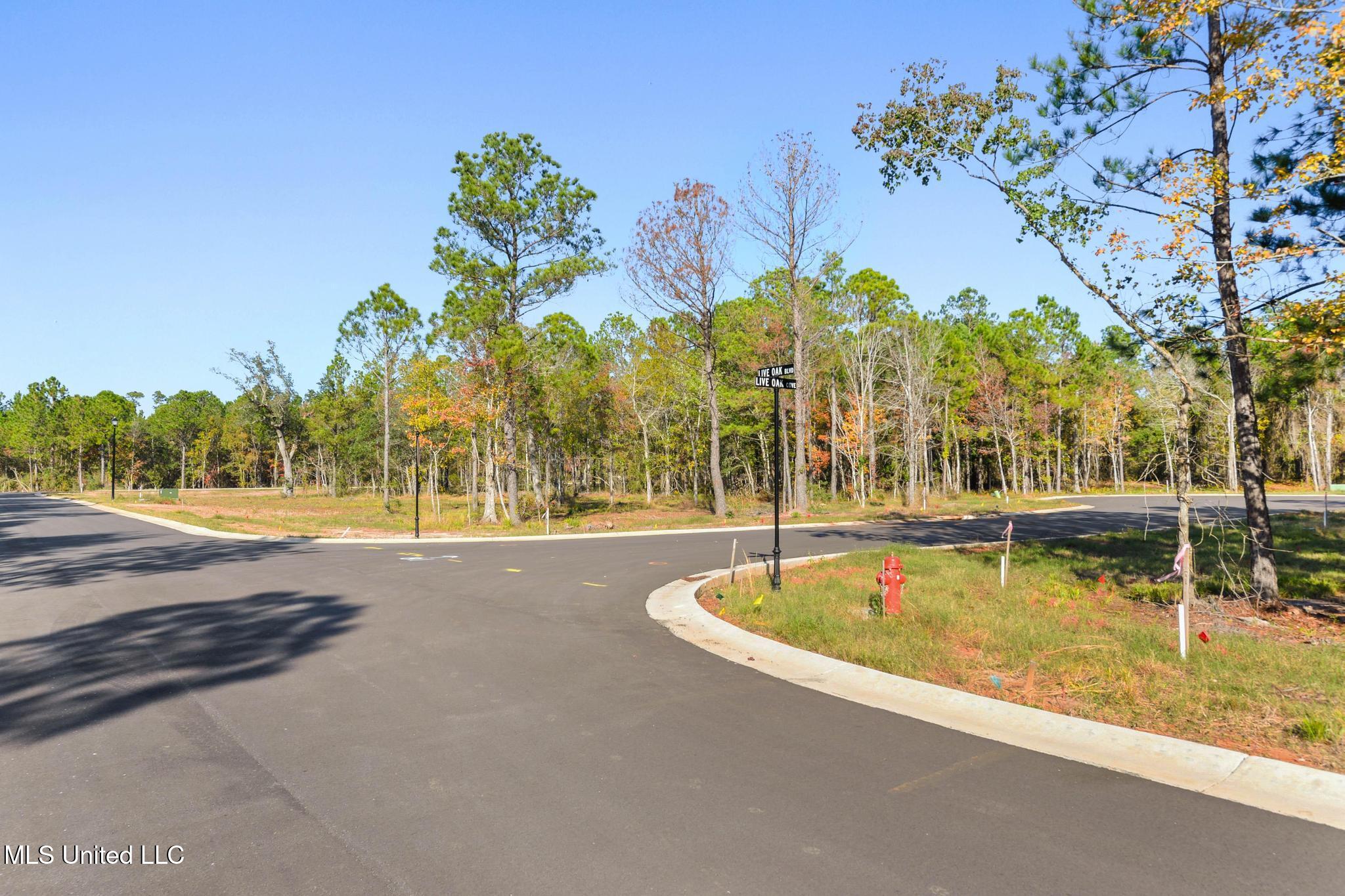 111 Live Oak Way Pass Christian, MS 39571 - Photo 8 of 9 037