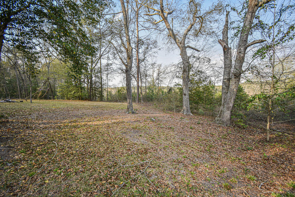 125 Nicholson Road Trenton, SC 29847 - Photo 56 of 59 DSC_4353