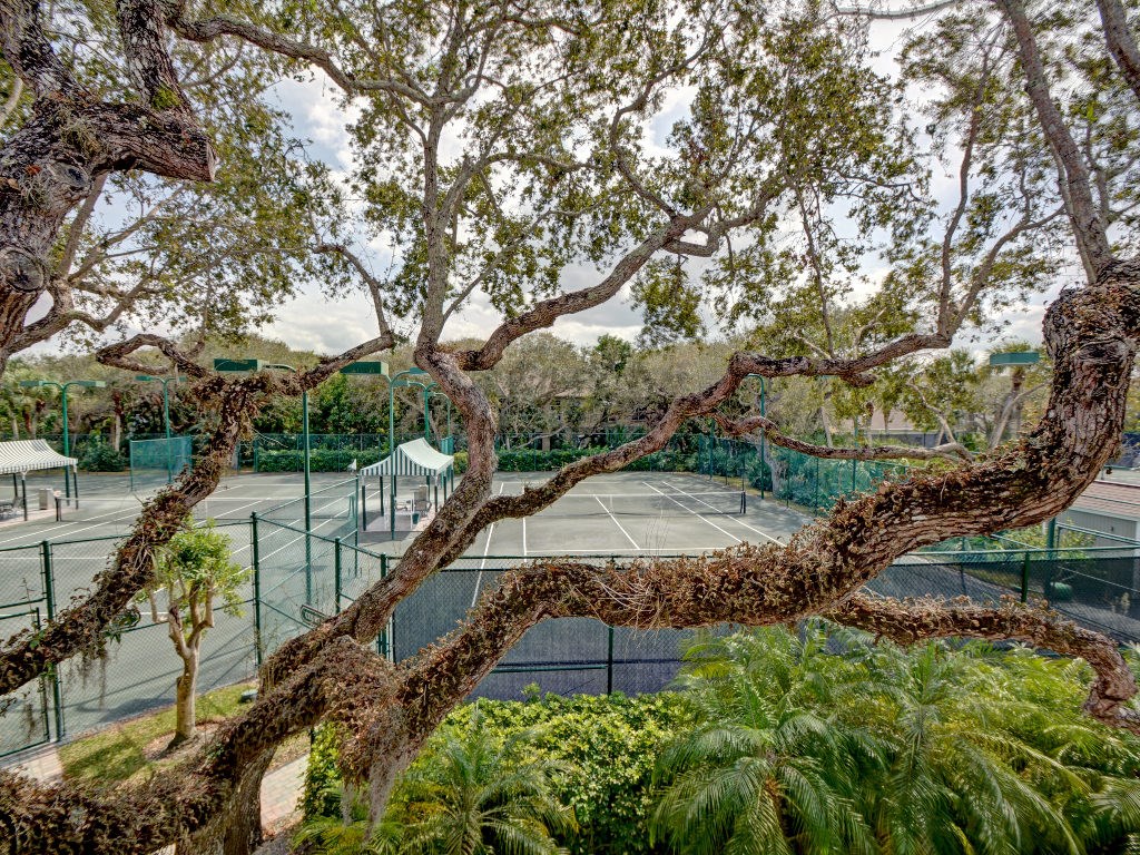 8705 Palm Tree Lane Vero Beach, FL 32963 - Photo 28 of 31 a view of a yard with large trees