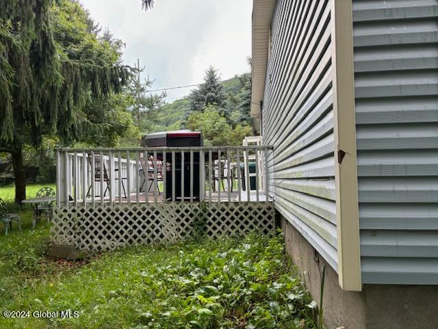 120 Beards Hollow Road Summit, NY 12149 - Photo 13 of 18 thumbnail (14)