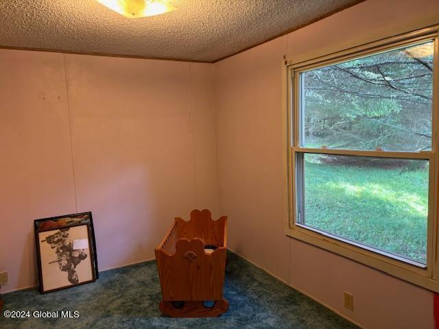 120 Beards Hollow Road Summit, NY 12149 - Photo 9 of 18 thumbnail (35)