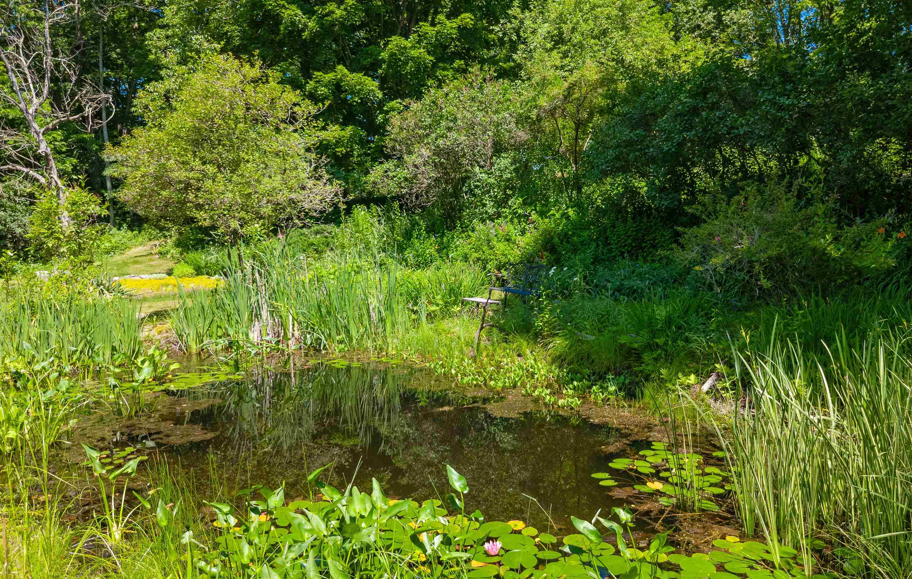 535 Oxbow Road Newbury, VT 05051 - Photo 48 of 60