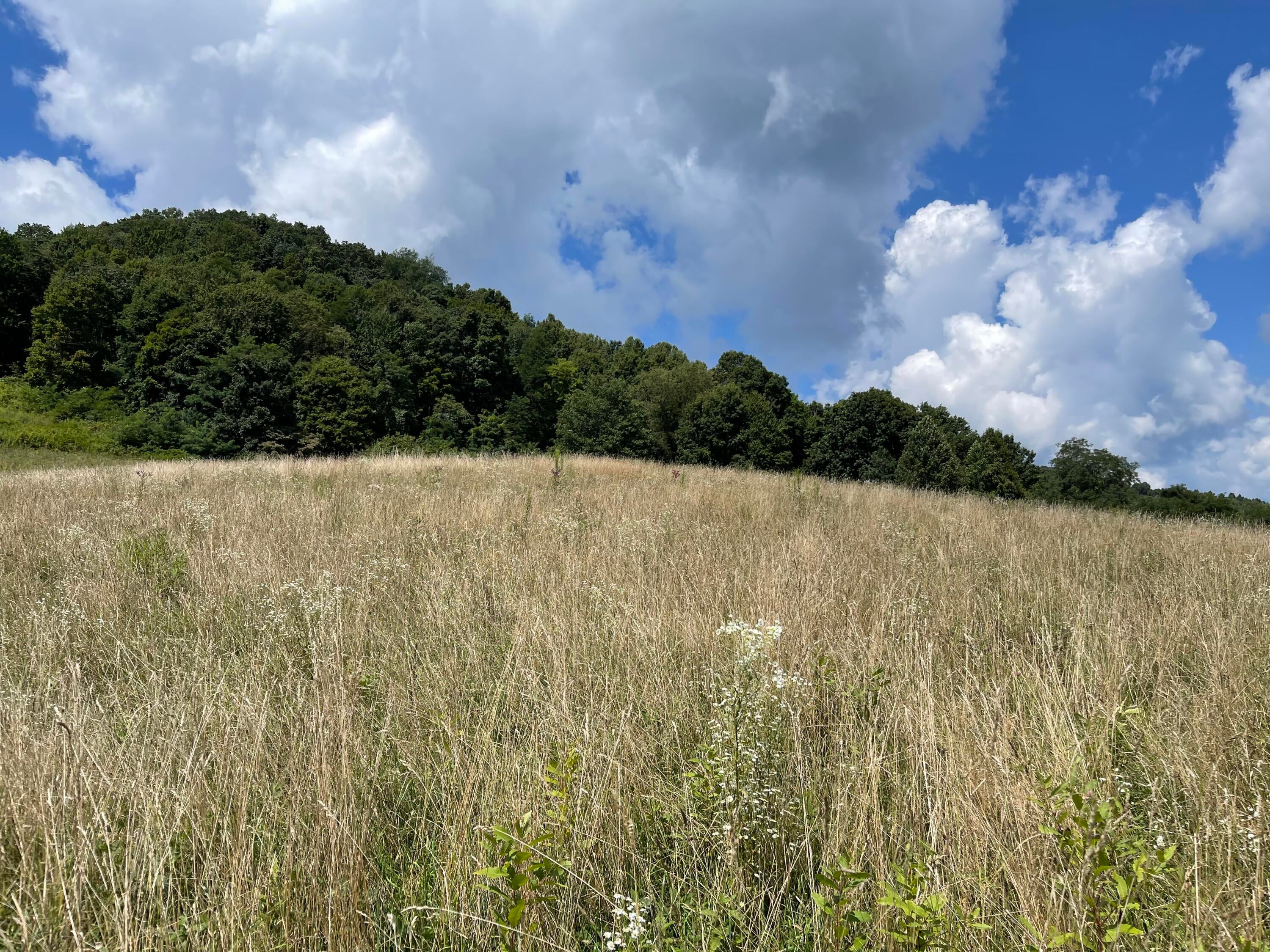 Ward Bench Road Sandstone, WV 25985 - Photo 26 of 92 Gallery Image 26