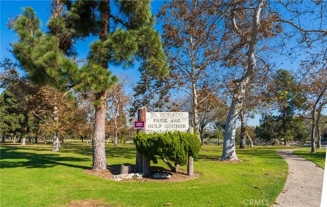 a view of a park with large trees