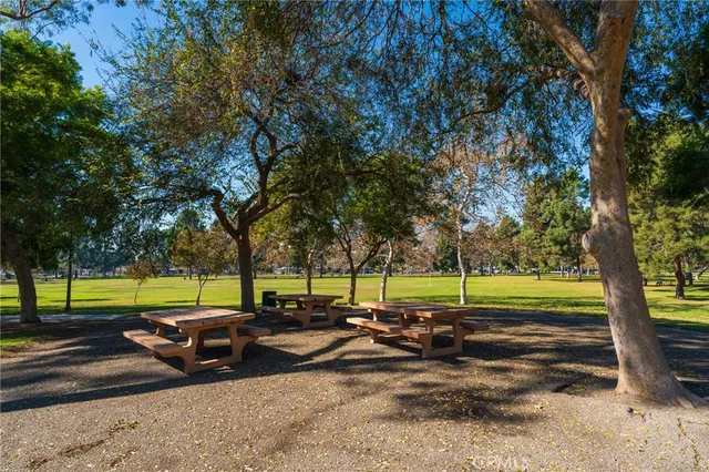 a view of a park with large trees