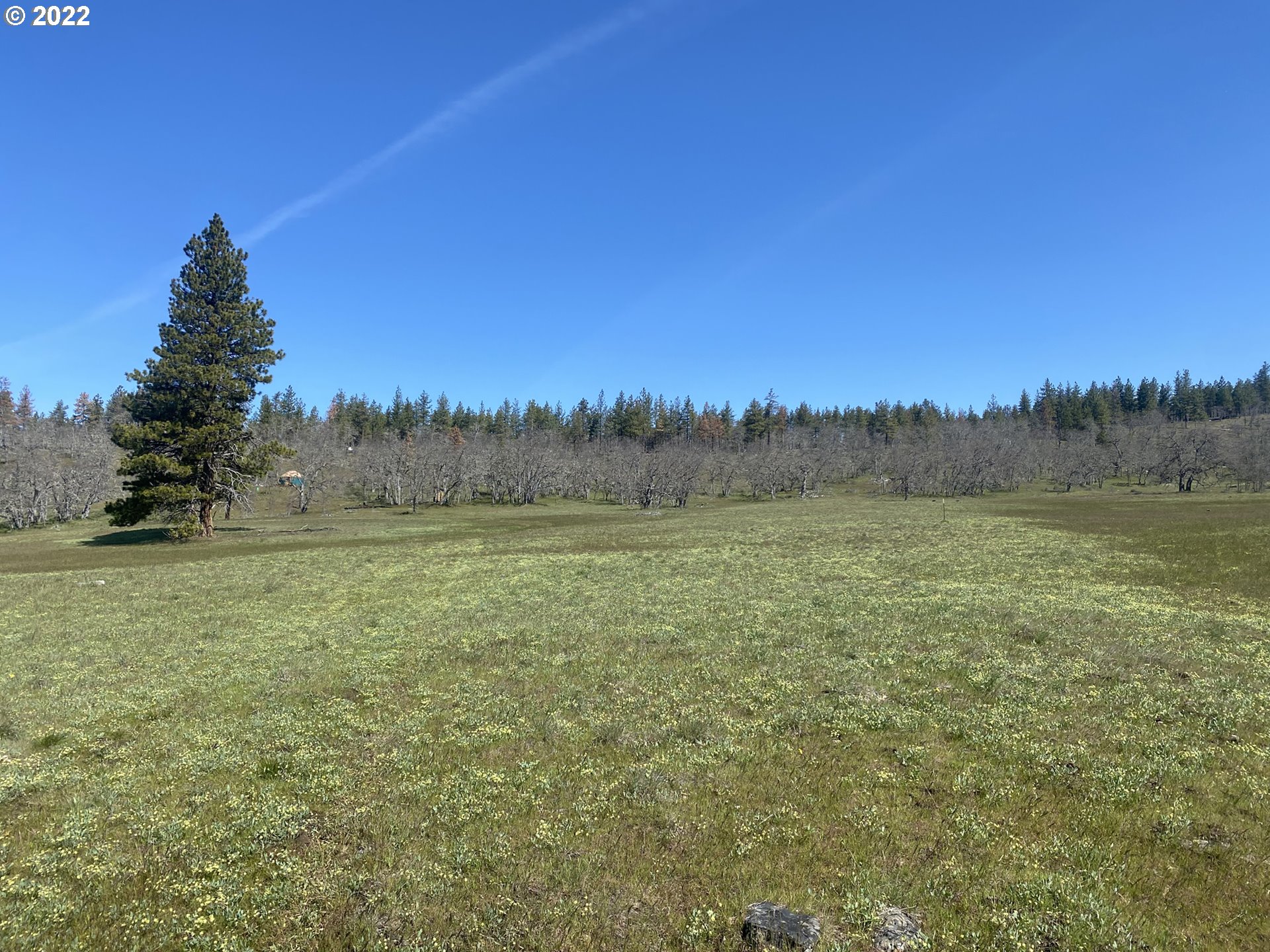62 Meacham Road Goldendale, WA 98620 - Photo 16 of 27 Gallery Image 16