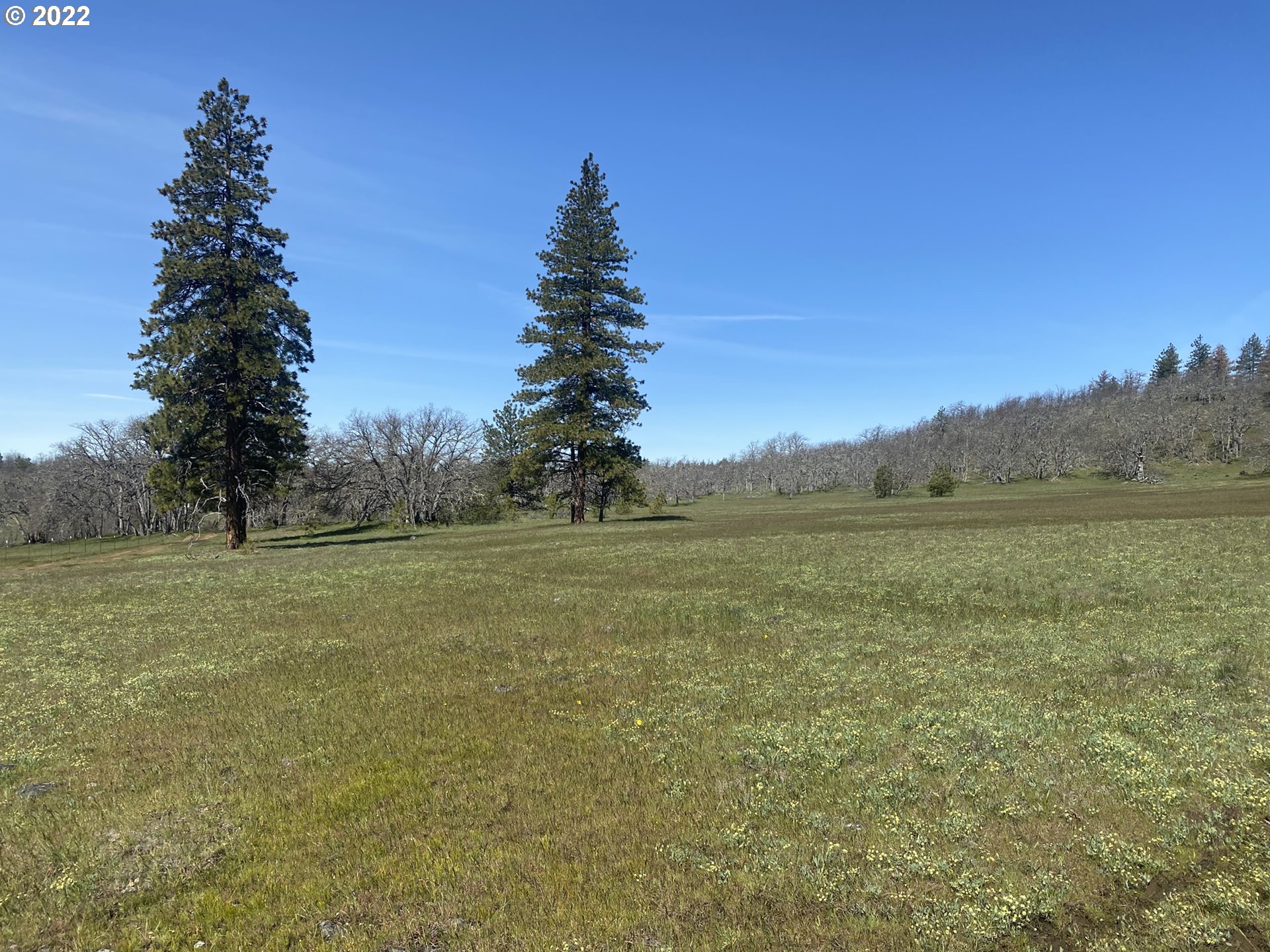 62 Meacham Road Goldendale, WA 98620 - Photo 17 of 27 Gallery Image 17