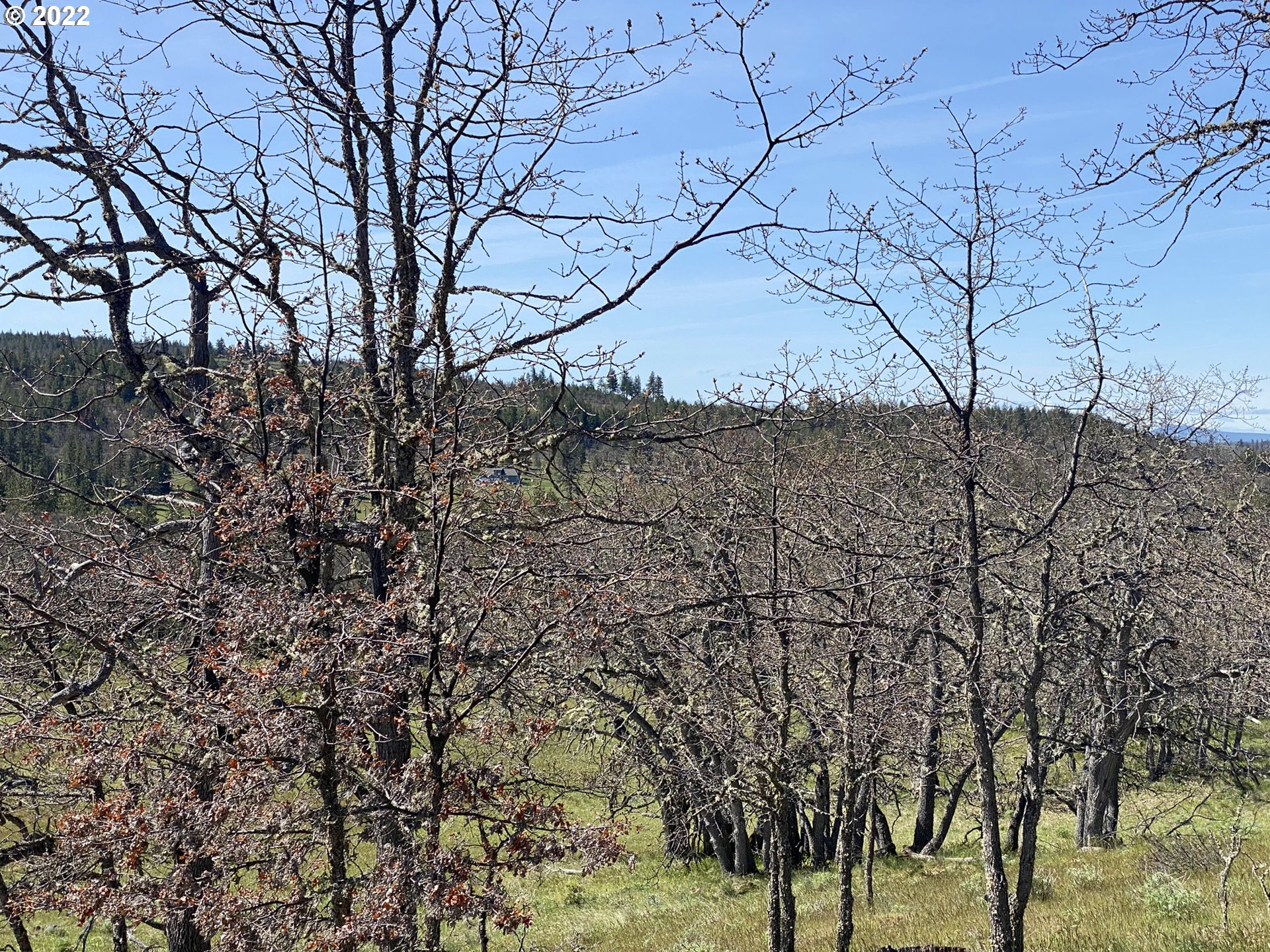 62 Meacham Road Goldendale, WA 98620 - Photo 20 of 27 Gallery Image 20