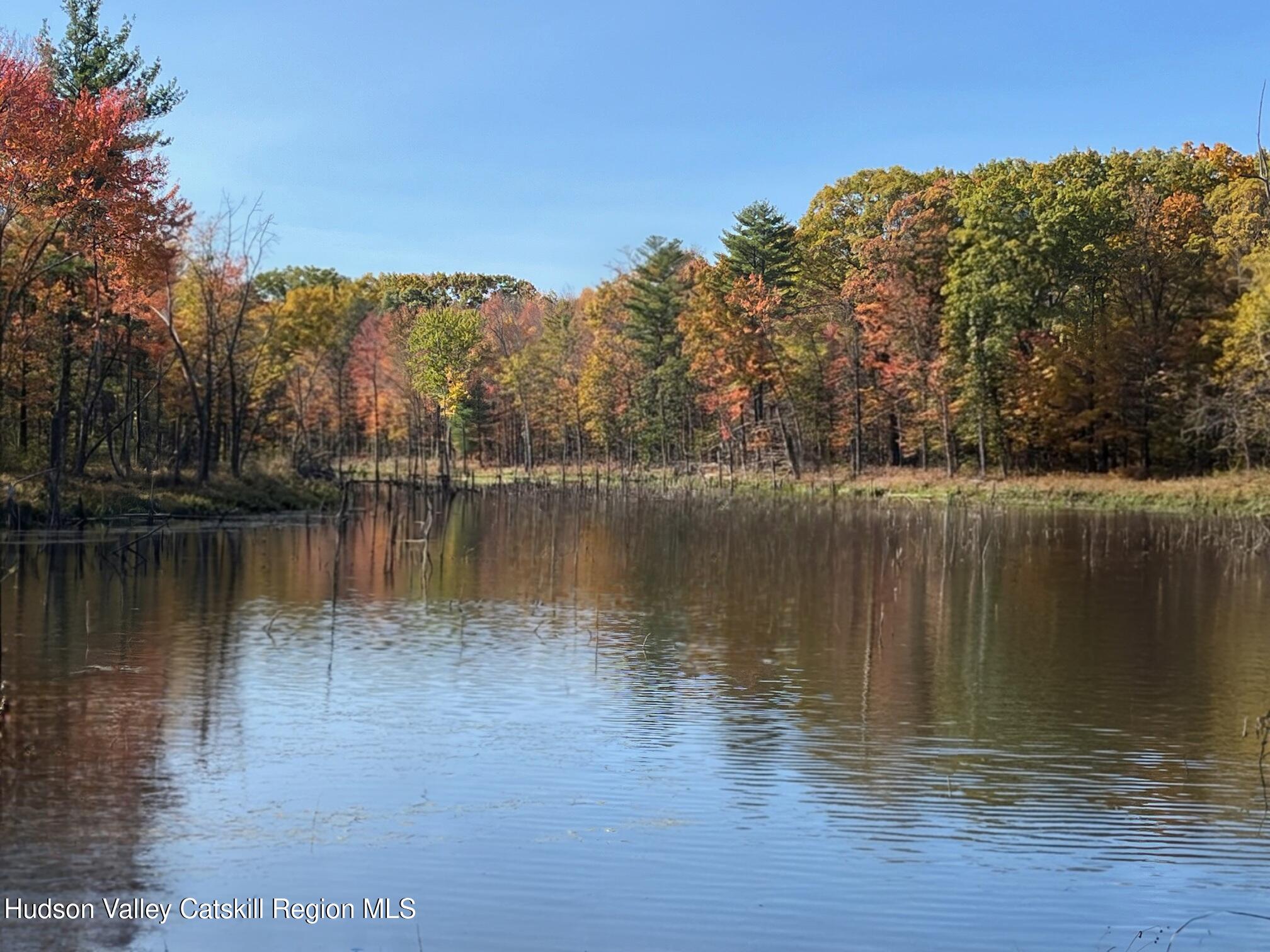 124 Thorne Road Chatham, NY 12136 - Photo 1 of 7 a view of a lake view