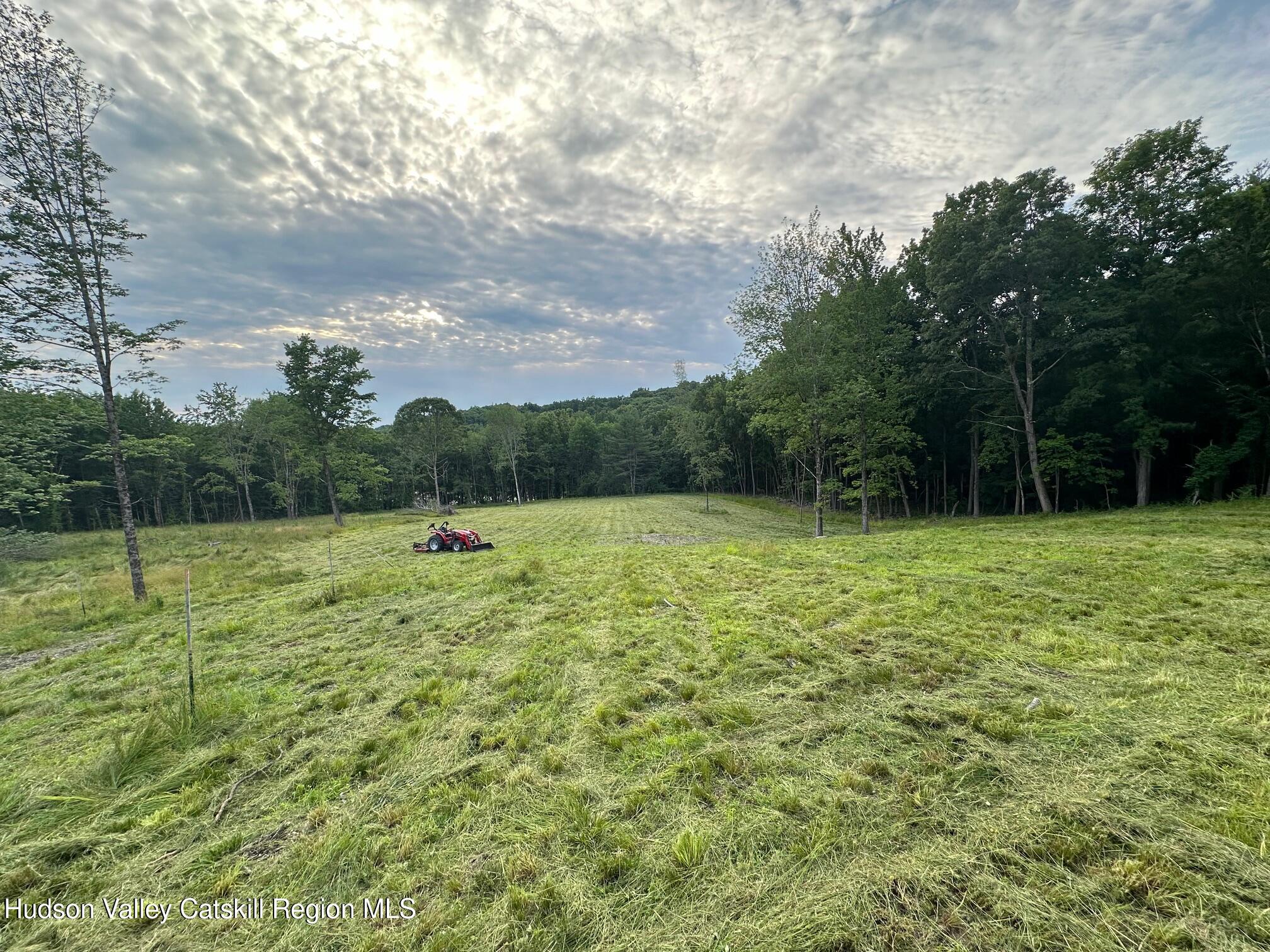124 Thorne Road Chatham, NY 12136 - Photo 2 of 7 a view of a backyard