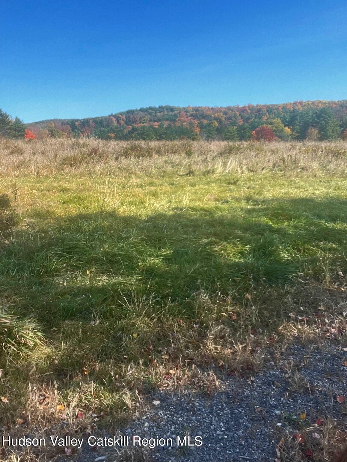 124 Thorne Road Chatham, NY 12136 - Photo 4 of 7 a view of an outdoor space and a yard