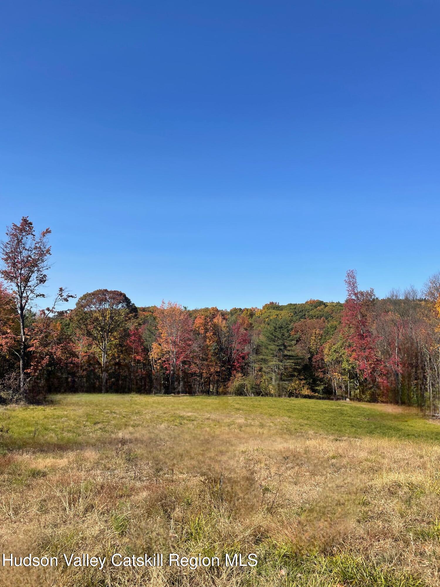 124 Thorne Road Chatham, NY 12136 - Photo 5 of 7 a view of mountain and grassy field