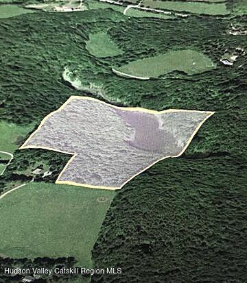 124 Thorne Road Chatham, NY 12136 - Photo 6 of 7 a view of a garden with a lake