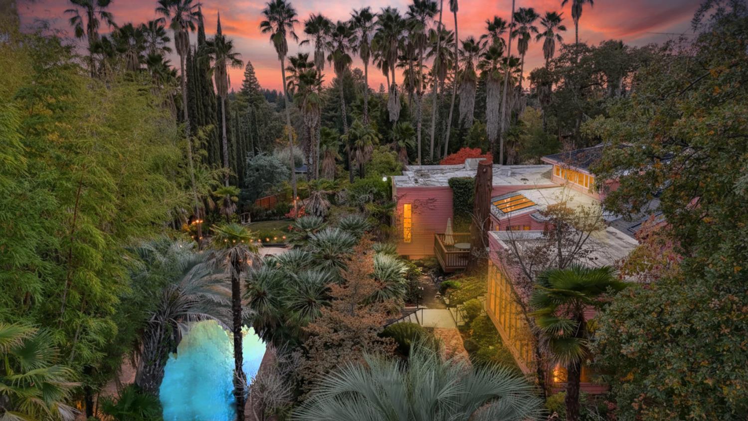 a view of a garden with plants and trees
