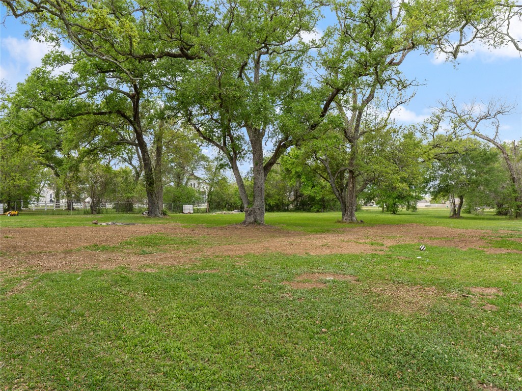 496 James Street Clute, TX 77531 - Photo 7 of 45 a view of yard with trees
