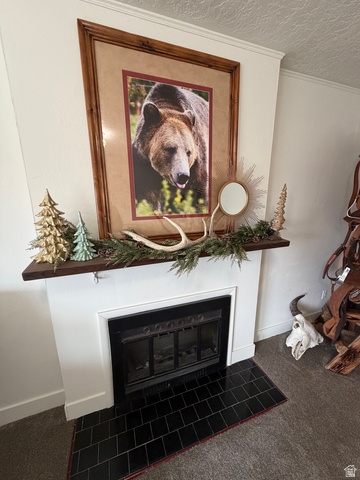 108 West 2nd South Grace, ID 83241 - Photo 5 of 20 Detailed view of a tiled fireplace, ornamental molding, newly carpeted floors.