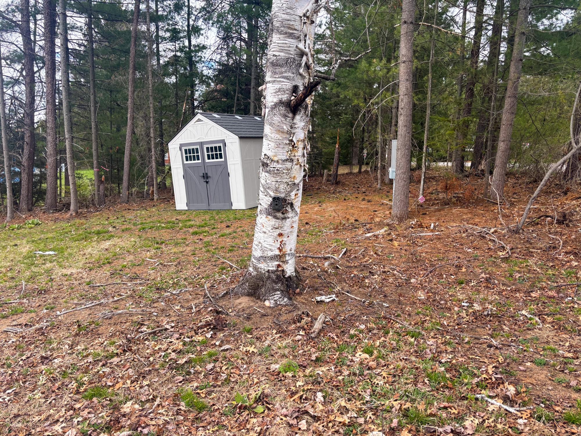 On Schoettler Road Tomahawk, WI 54487 - Photo 7 of 26 Gallery Image 7