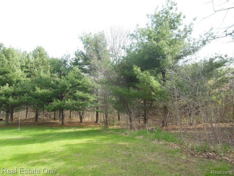 3009 East Schafer Road Howell, MI 48843 - Photo 10 of 57 DSCN0809.jpg
