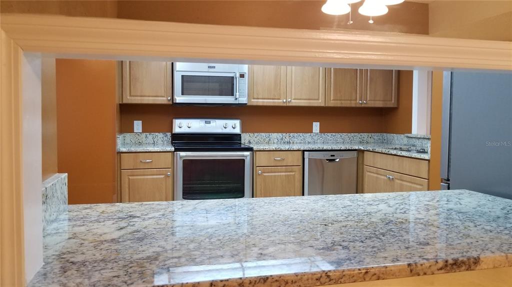 104 Old Mill Pond Road Palm Harbor, FL 34683 - Photo 13 of 22