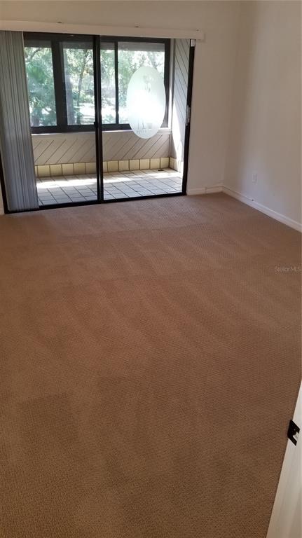 104 Old Mill Pond Road Palm Harbor, FL 34683 - Photo 19 of 22