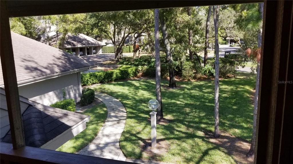 104 Old Mill Pond Road Palm Harbor, FL 34683 - Photo 21 of 22