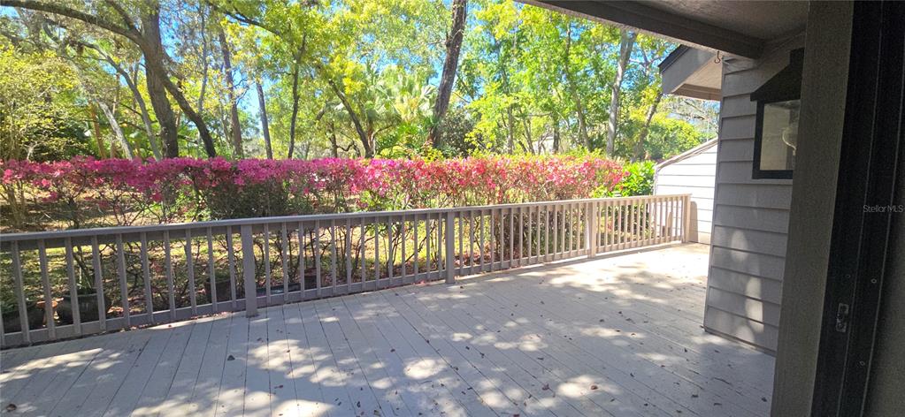 104 Old Mill Pond Road Palm Harbor, FL 34683 - Photo 22 of 22