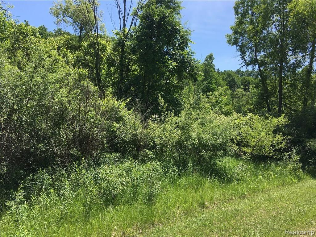 V/l Ray Road Holly, MI 48442 - Photo 5 of 6