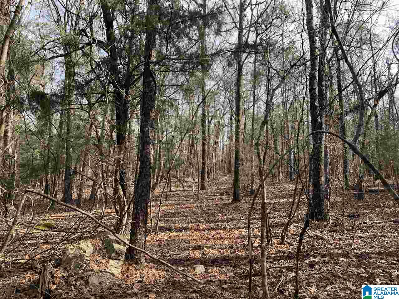 0 County Road 16 Calera, AL 35040 - Photo 9 of 22