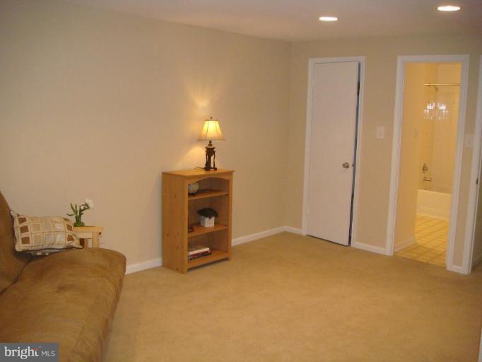 11940 Redtree Way Reston, VA 20194 - Photo 10 of 21 Recreation Room #2