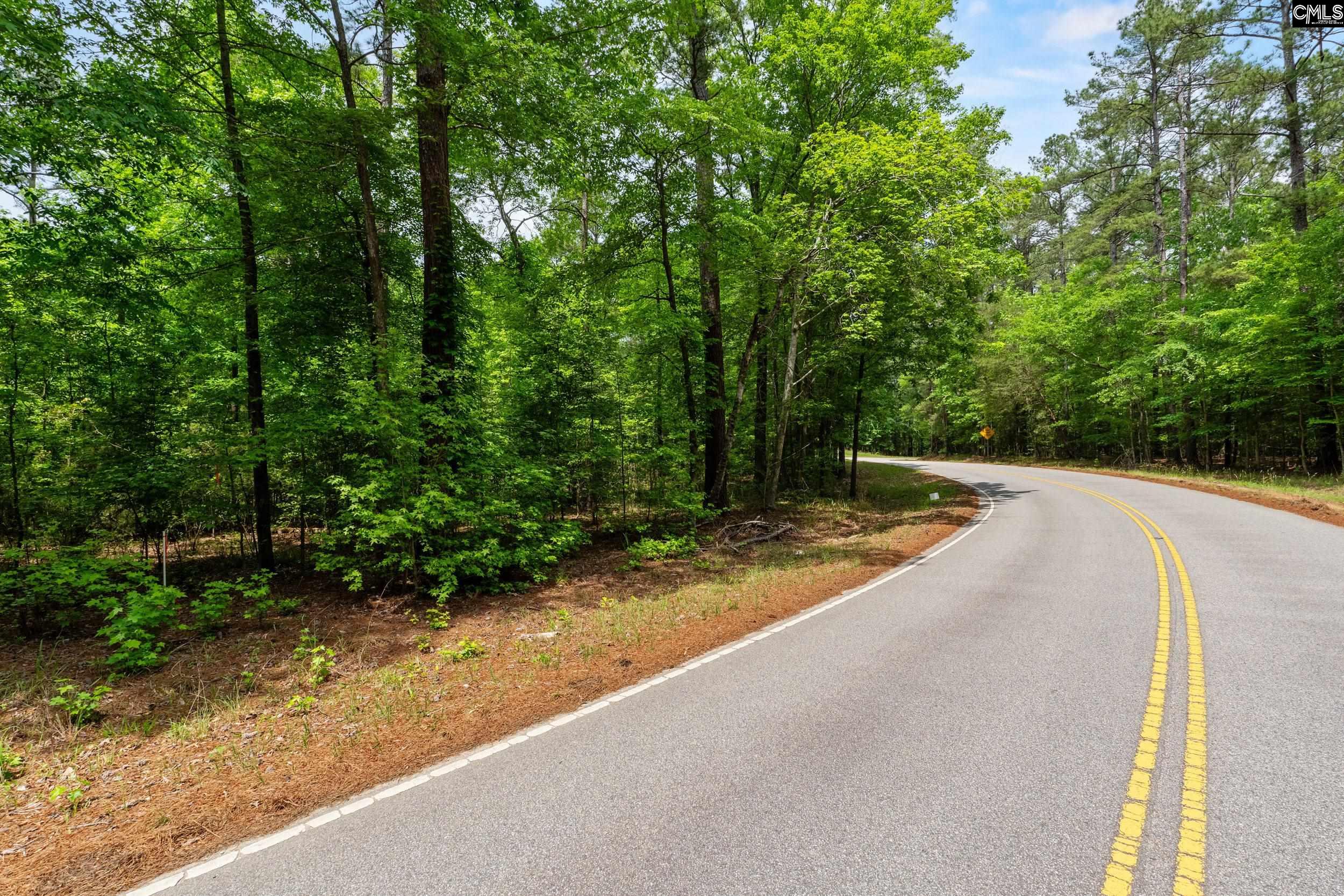 1427-3 Buck Hill Landing Road Ridgeway, SC 29130 - Photo 4 of 30