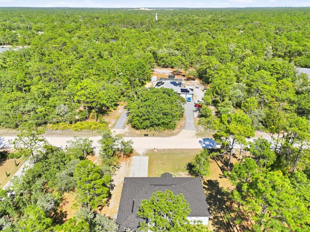18063 Parrot Road Weeki Wachee, FL 34614 - Photo 47 of 52
