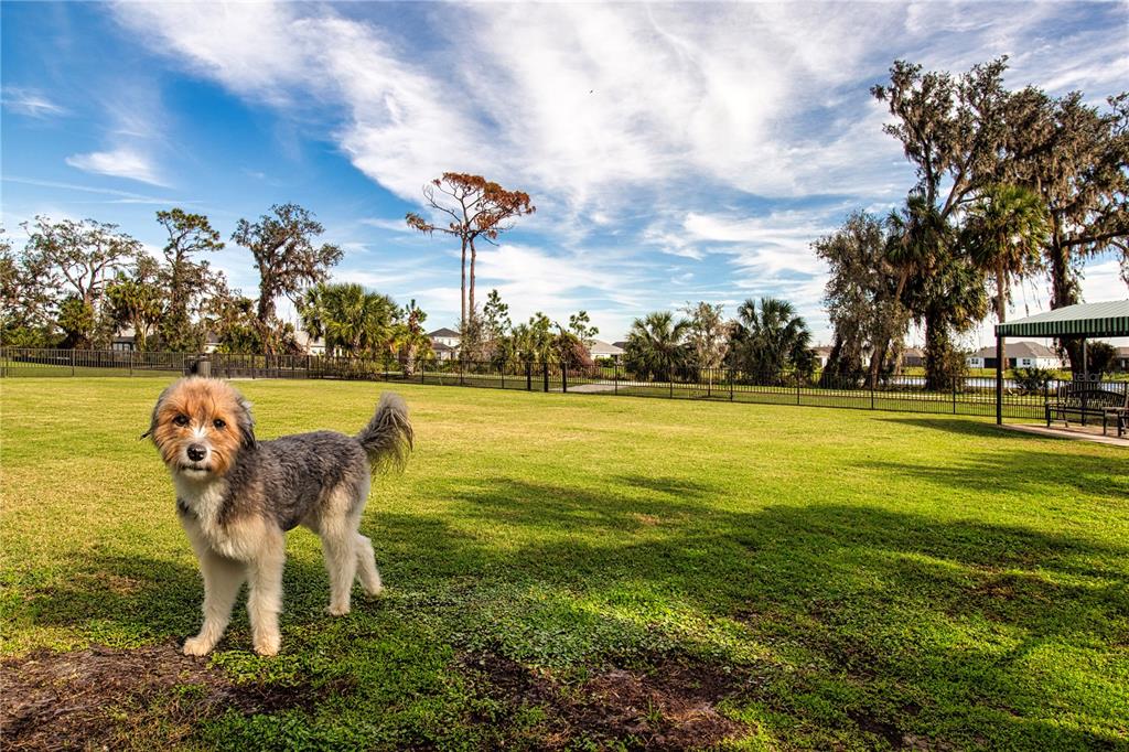 4304 Fly Rod Terrace Parrish, FL 34219 - Photo 95 of 97 a swimming pool with outdoor seating and yard