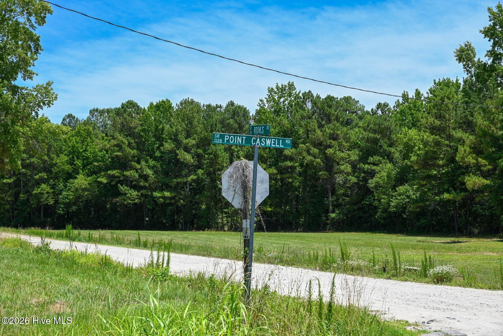 0 Rooks Road Atkinson, NC 28421 - Photo 101 of 117