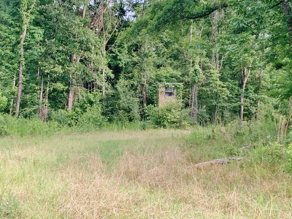 3000 Stonington Road Lorman, MS 39096 - Photo 23 of 38 Photo 23