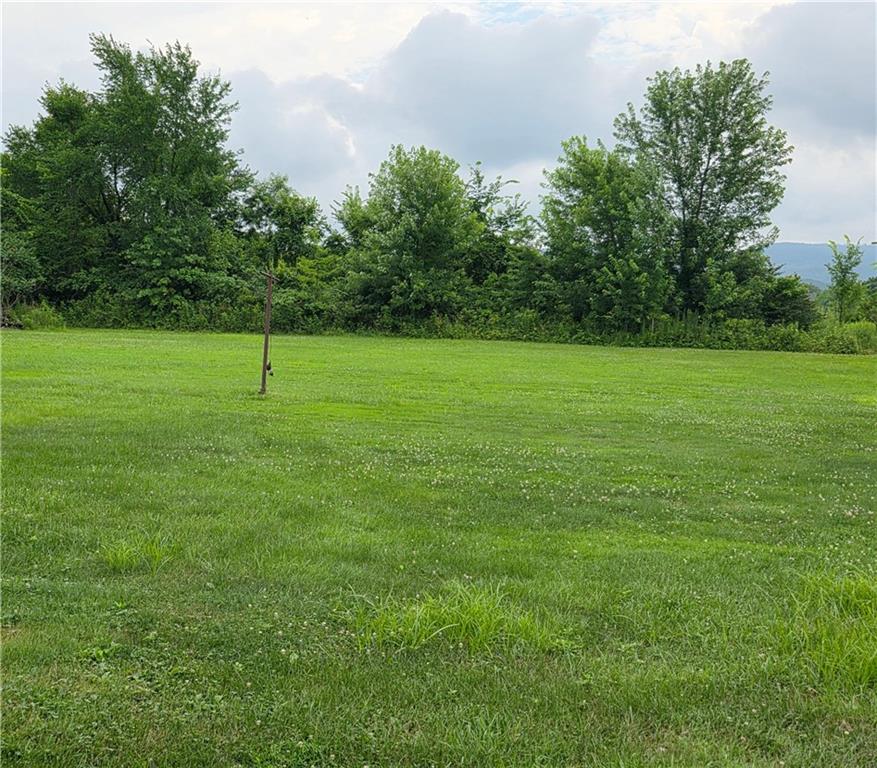 1356 Connellsville Road Lemont Furnace, PA 15456 - Photo 26 of 29 a view of an outdoor space and a yard