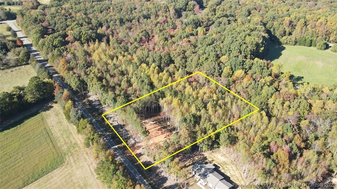 245 Cagle Road Seagrove, NC 27341 - Photo 1 of 24 a picture of a tree
