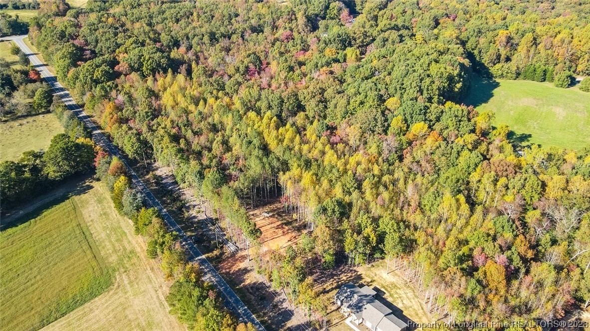 245 Cagle Road Seagrove, NC 27341 - Photo 12 of 24 a view of a yard