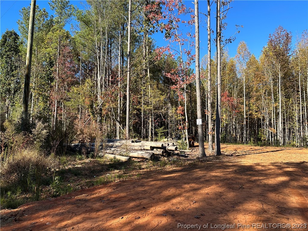 245 Cagle Road Seagrove, NC 27341 - Photo 17 of 24 a view of road with trees