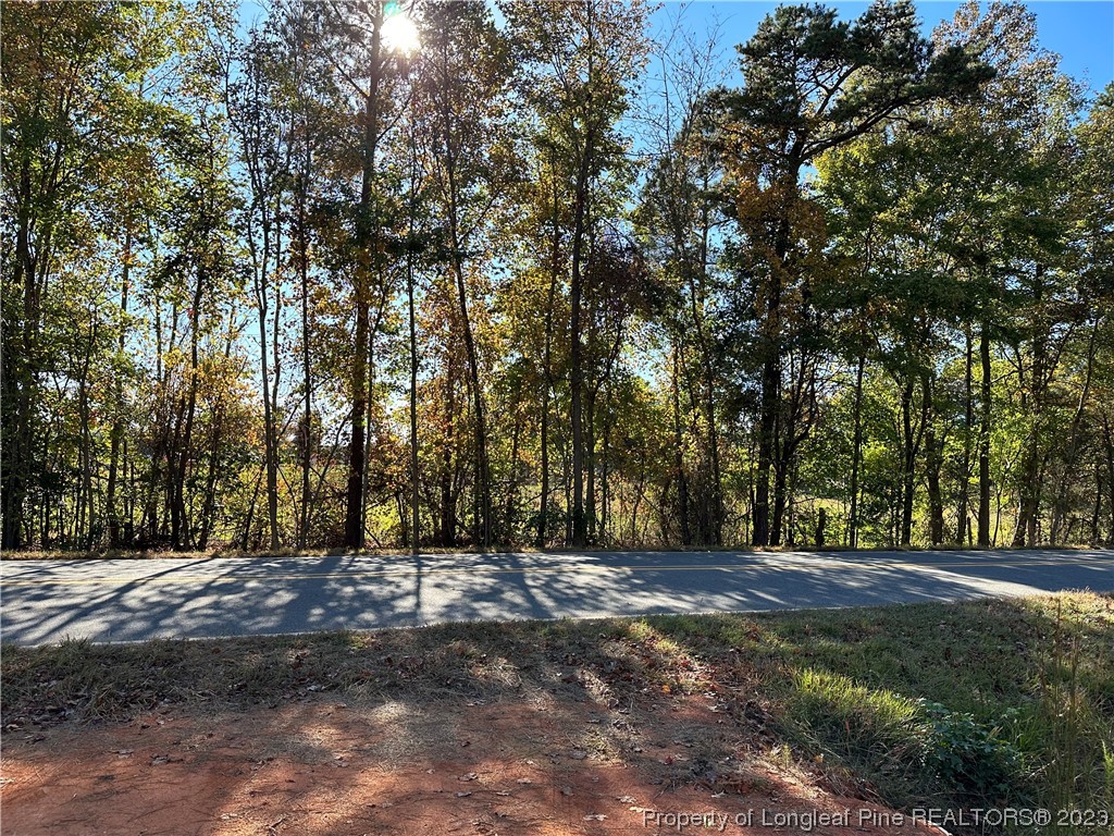 245 Cagle Road Seagrove, NC 27341 - Photo 19 of 24 a view of outdoor space with trees