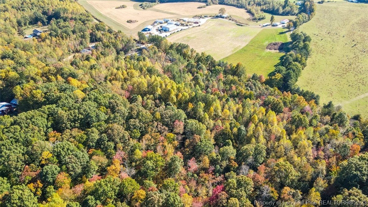 245 Cagle Road Seagrove, NC 27341 - Photo 23 of 24 a view of a tree with a yard