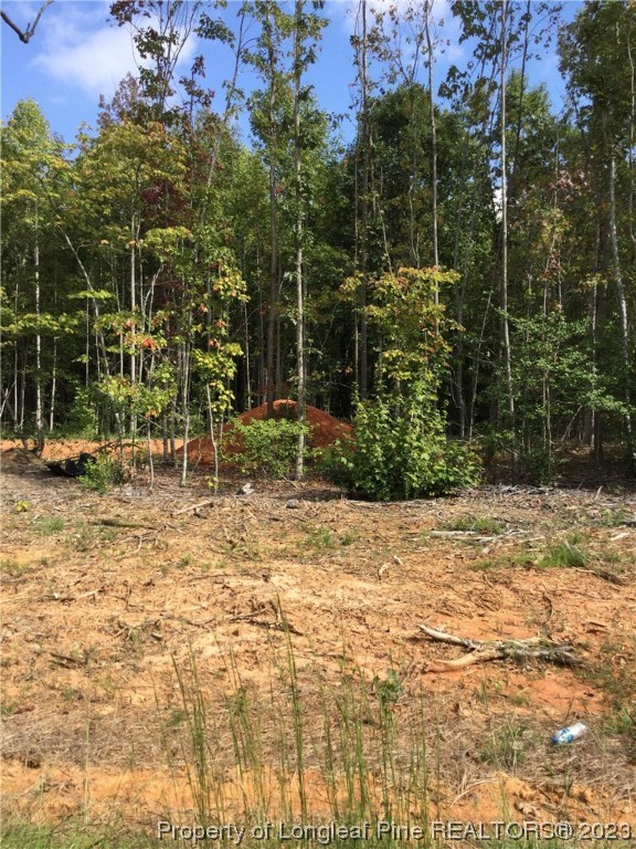 245 Cagle Road Seagrove, NC 27341 - Photo 5 of 24 a view of outdoor space with trees
