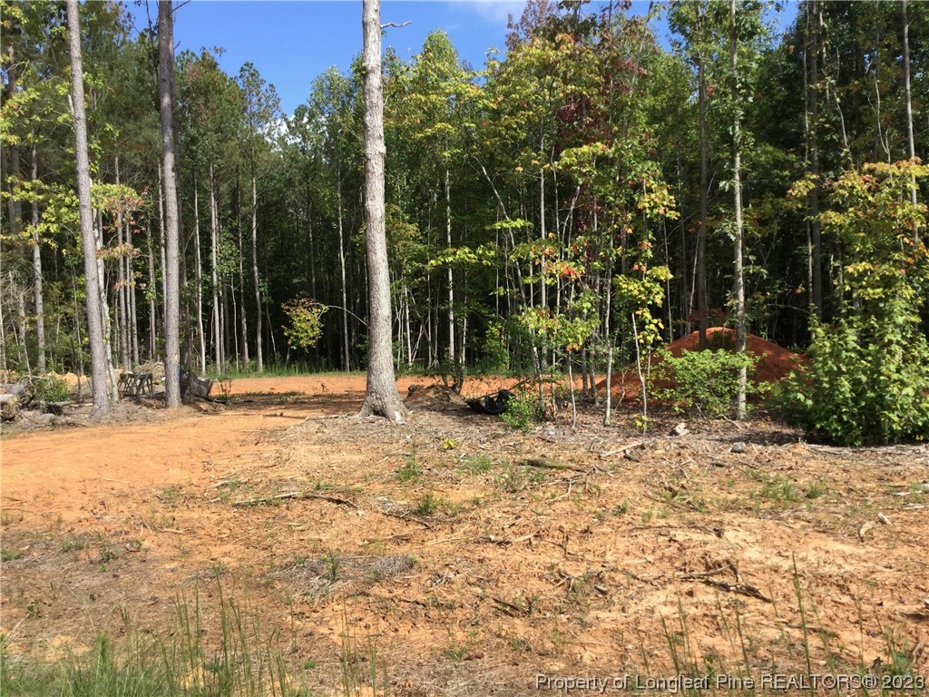 245 Cagle Road Seagrove, NC 27341 - Photo 6 of 24 a view of outdoor space with trees