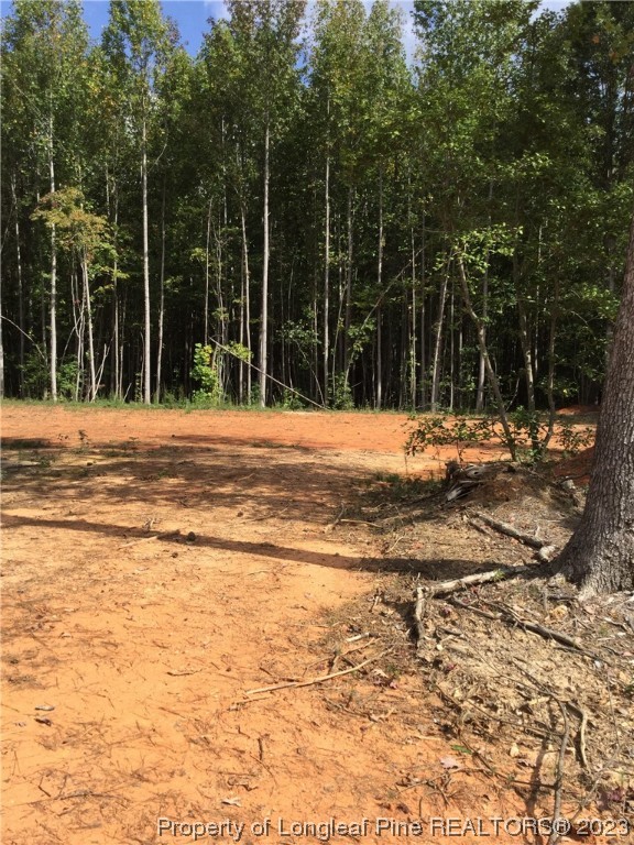 245 Cagle Road Seagrove, NC 27341 - Photo 8 of 24 a view of a yard with an outdoor space